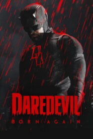 Daredevil Born Again (Season 02) ( Episode 05- 08 ) HD Tamil Dubbed Web Series Watch Online