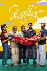 Madhuvidhu (2026) HDRip Malayalam Full Movie Watch Online Free