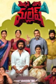 Mension House Mallesh (2026) HDRip Telugu Full Movie Watch Online Free